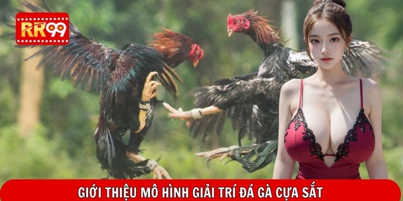 Giới thiệu mô hình giải trí đá gà cựa sắt