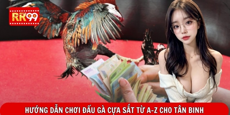 Hướng dẫn chơi đấu gà cựa sắt từ A–Z cho tân binh